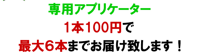 専用アプリケーター 1本100円 最大6本まで基本送料でお届け致します!!
