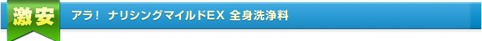アラ! ナリシングマイルドEX 全身洗浄料