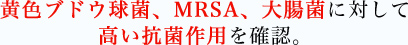 黄色ブドウ球菌、MRSA、大腸菌に対して高い抗菌作用を確認。