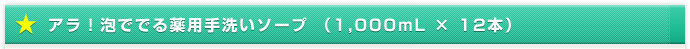 アラ！泡ででる薬用手洗いソープ （1,000mL × 12本）